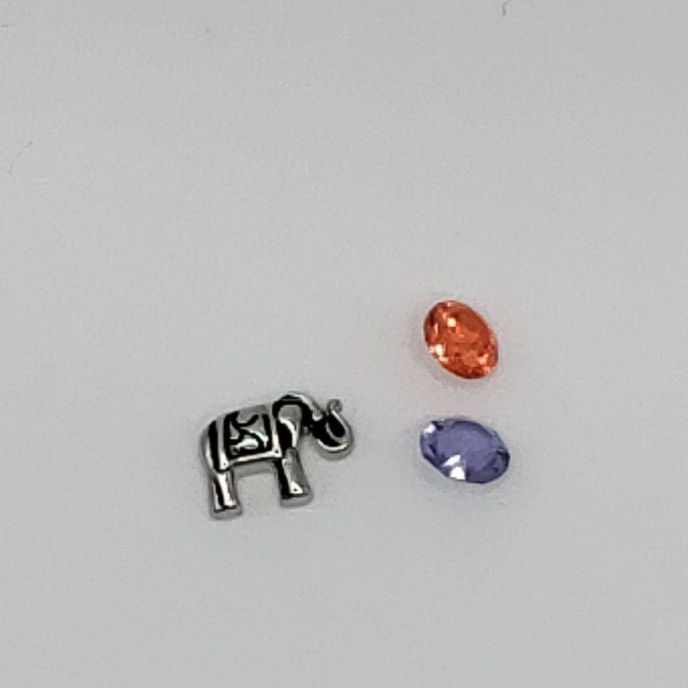 Origami Owl Elephant Charm Set